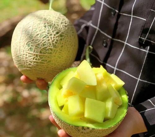 娱乐瓜吃瓜,明星们的幕后故事与甜蜜瓜料