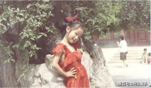 吃瓜娱乐圈贵妃是谁啊